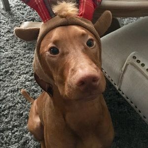 Meet your Posher, Lindsay